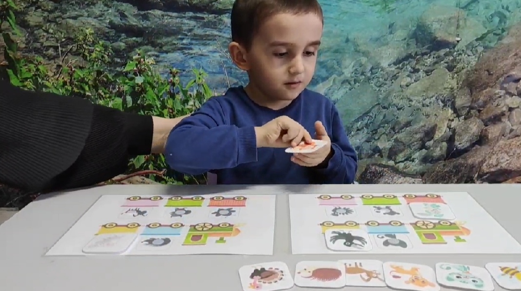 Индивидуальное психологическое занятие